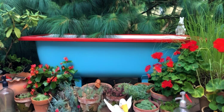 DIY bathtub pond