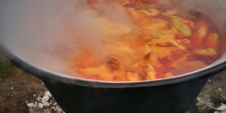 hungarian fish soup