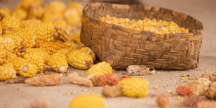 corn benefits