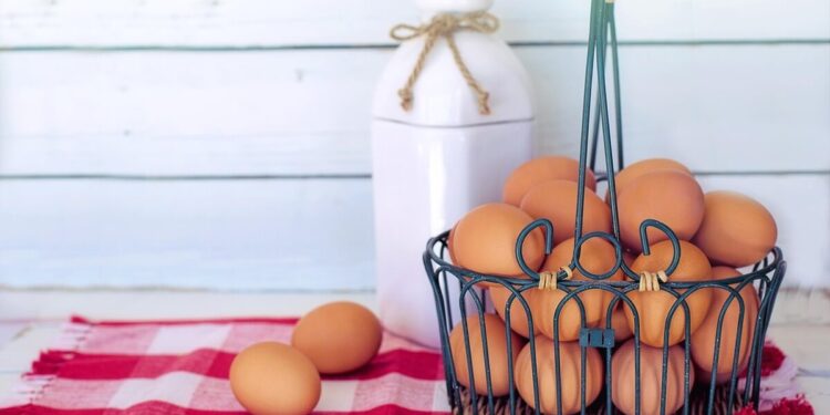 egg benefits