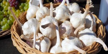 garlic benefits