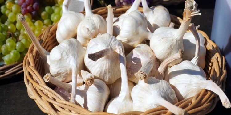 garlic benefits