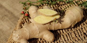 ginger benefits