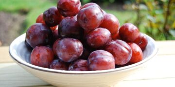 plum benefits