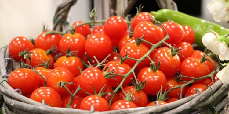 tomato benefits