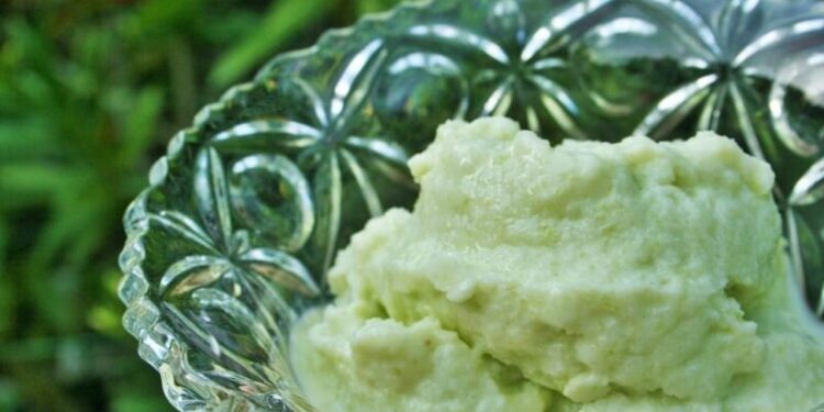 avocado icecream