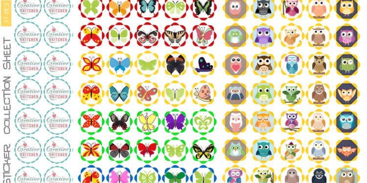 butterfly and owl sticker