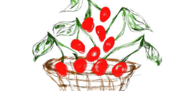 cherry and wood fingerprint