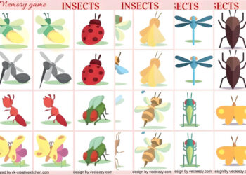 insects memory game