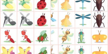 insects memory game