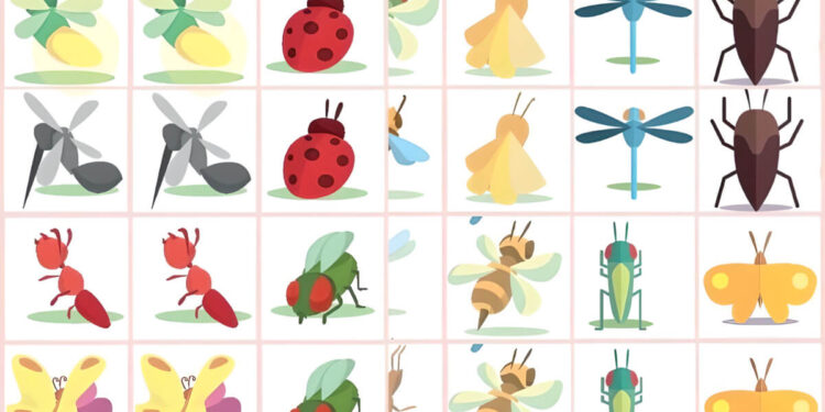 insects memory game
