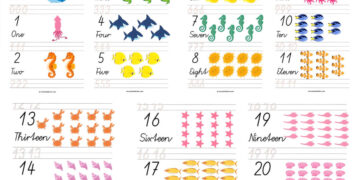 sea animals counting