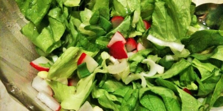 Radish Lettuce Salad