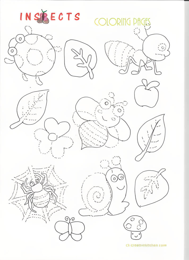 Insects Coloring Pages - Creative Kitchen