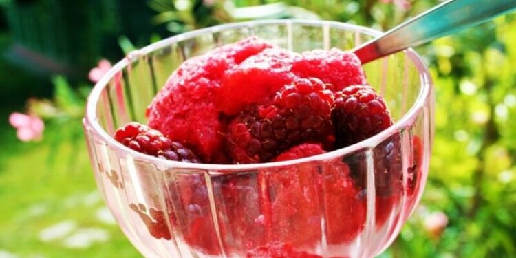 Raspberry elderflower granita