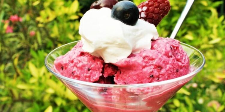 red fruit frozen yogurt