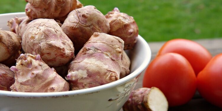 jerusalem artichoke sunchoke benefits